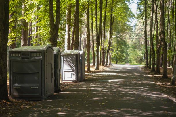 Portable Toilet Options We Offer in Mono Vista, CA
